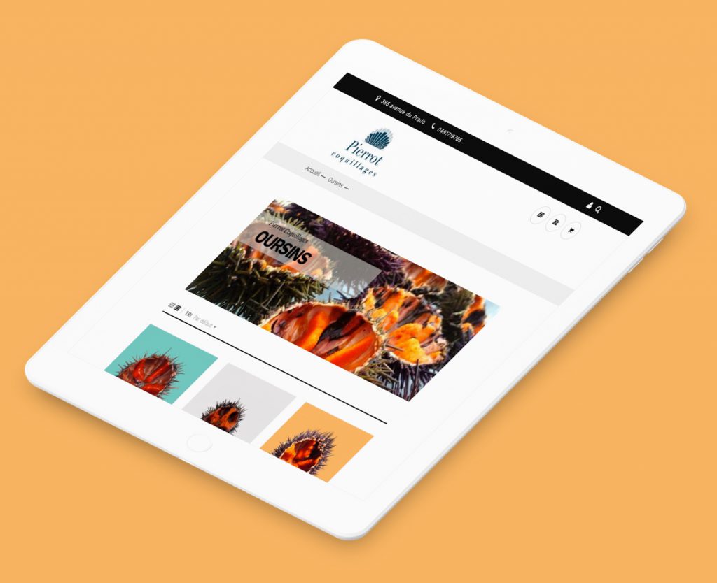 Pierrot-coquillages_1